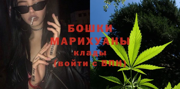 спиды Новодвинск